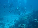 Curacao 04-12 390